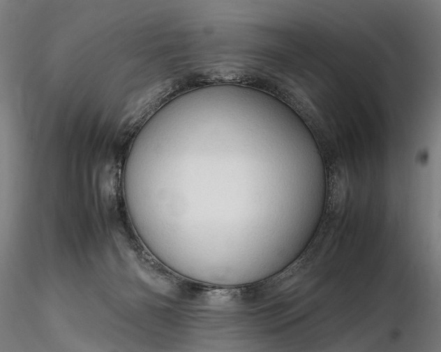 X0000116310126200912141408