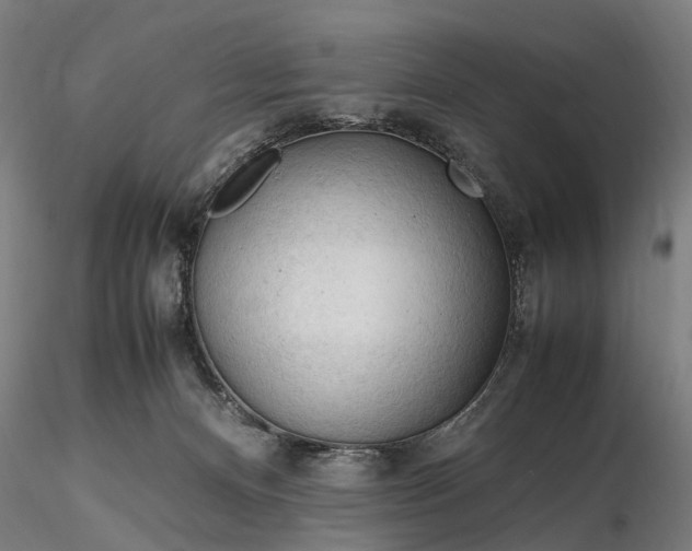 X0000116310128200912141408