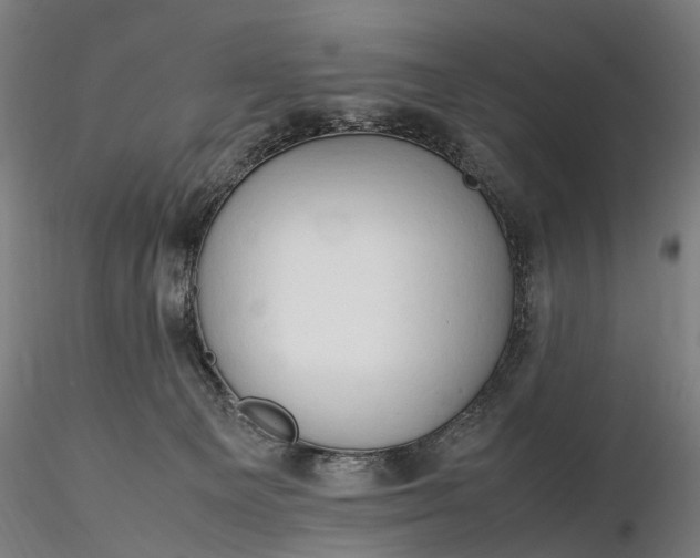 X0000116310129200912141408