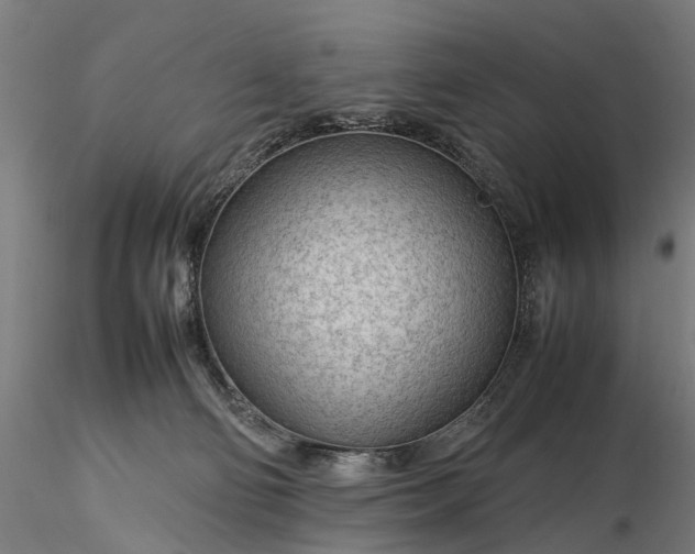 X0000116310130200912141408