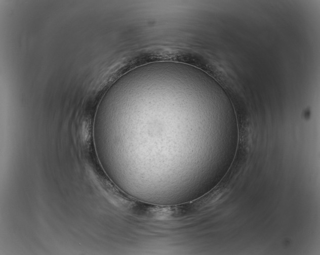 X0000116310131200912141408