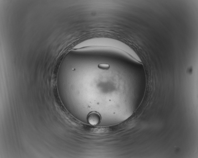 X0000116310135200912141407