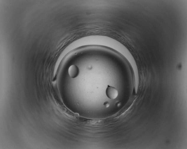 X0000116310136200912141407