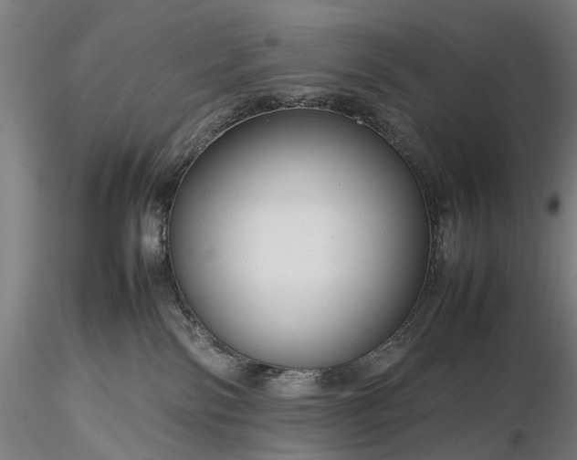 X0000116310138200912141407