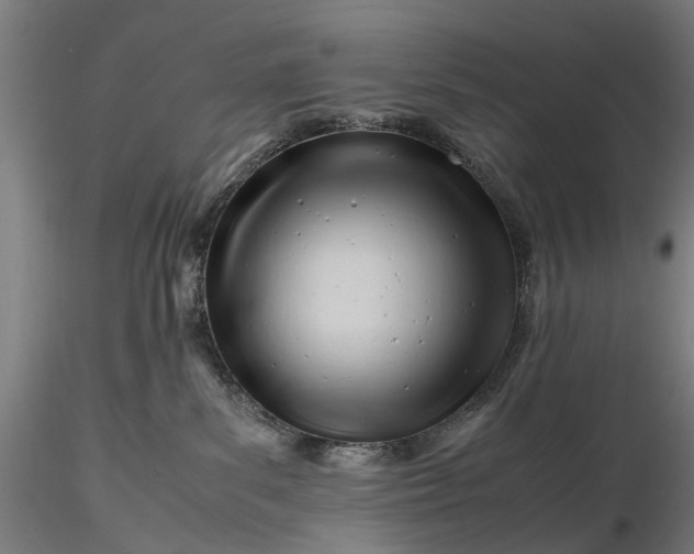 X0000116310139200912141407