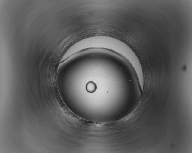 X0000116310140200912141407