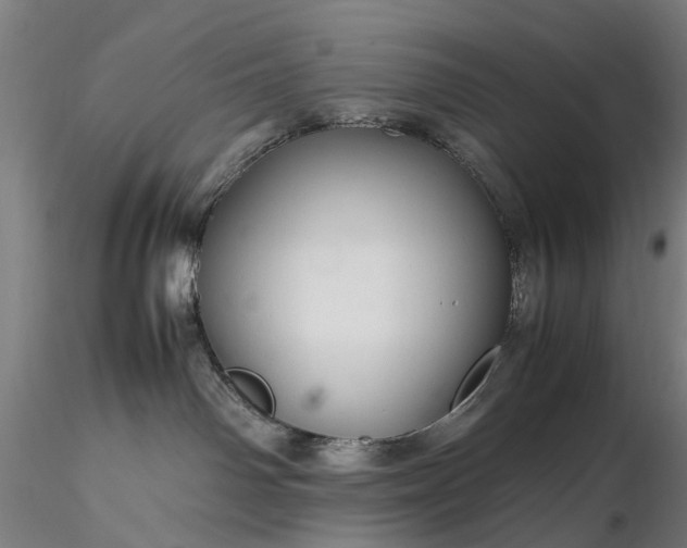 X0000116310142200912141407