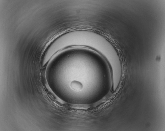 X0000116310146200912141407