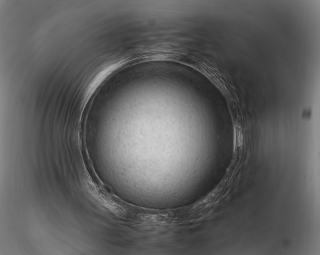 X0000116310147200912141407