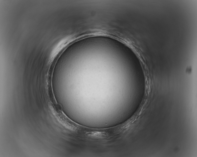 X0000116310151200912141407