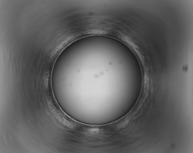 X0000116310153200912141407