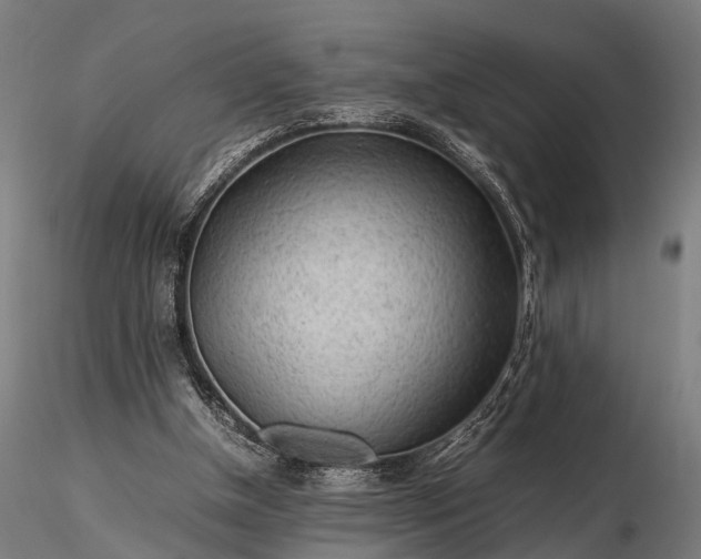 X0000116310154200912141407