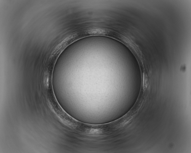 X0000116310157200912141407