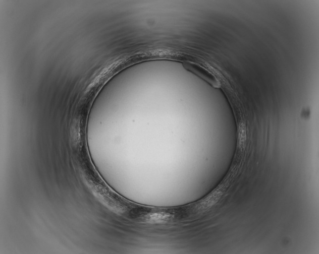 X0000116310158200912141407