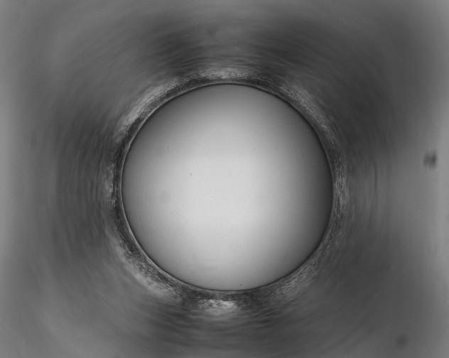 X0000116310159200912141407