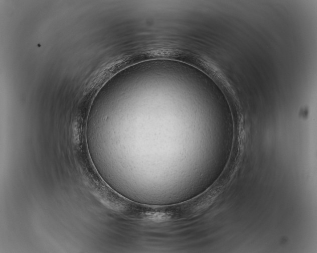 X0000116310161200912141407