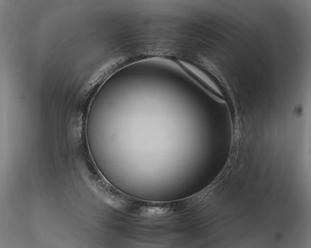 X0000116310163200912141407