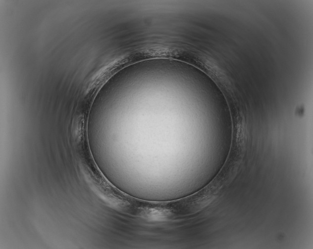 X0000116310165200912141407