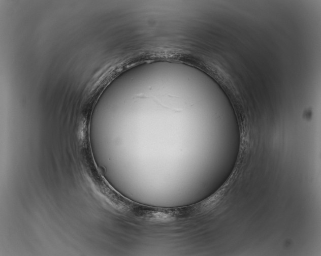 X0000116310166200912141407