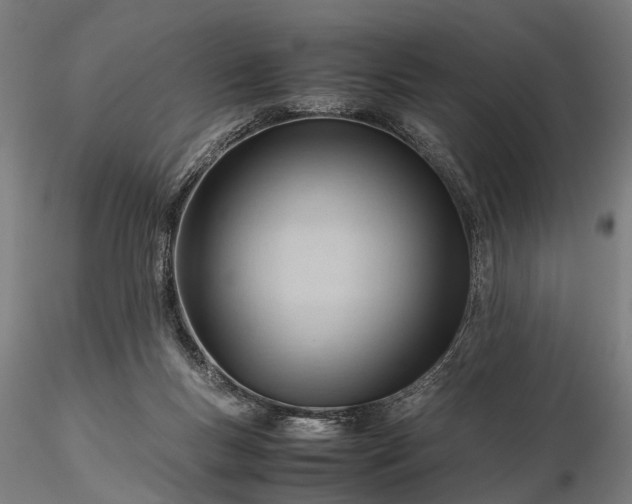 X0000116310167200912141407