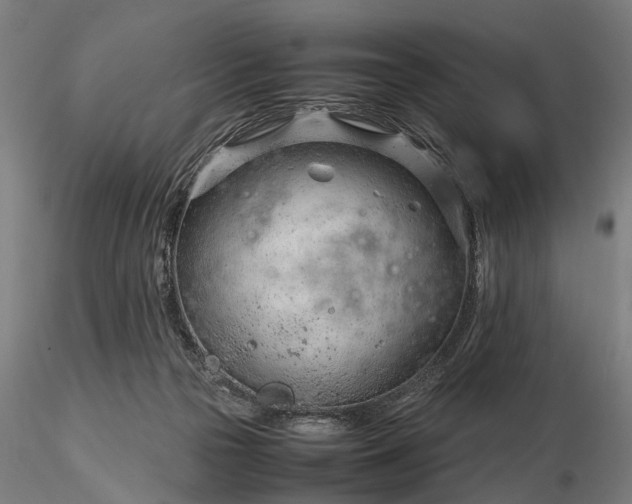 X0000116310169200912141407