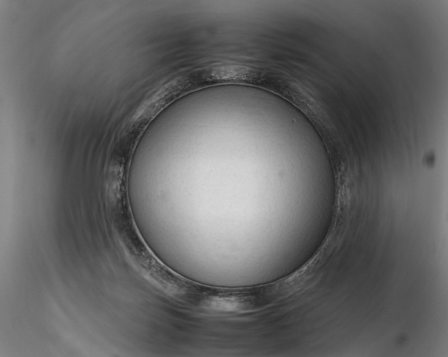 X0000116310171200912141407