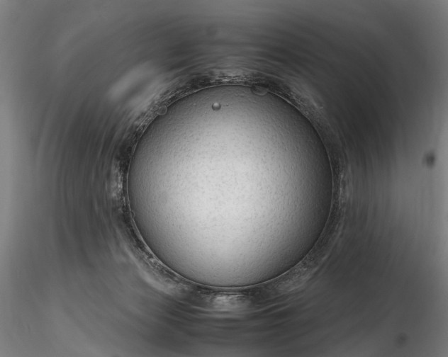 X0000116310173200912141407