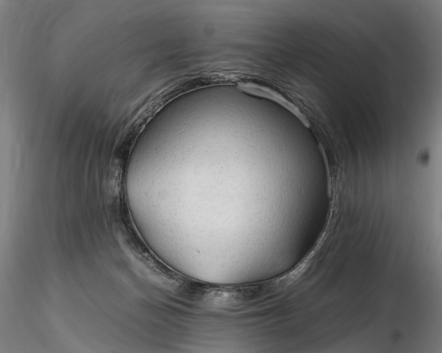 X0000116310174200912141407