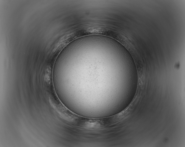 X0000116310175200912141407