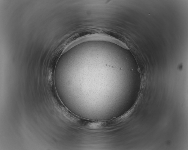 X0000116310178200912141407