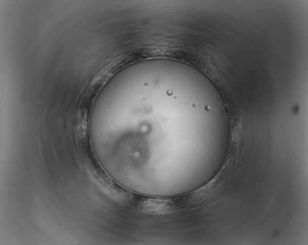 X0000116310179200912141407