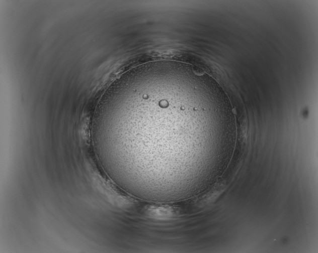 X0000116310181200912141407