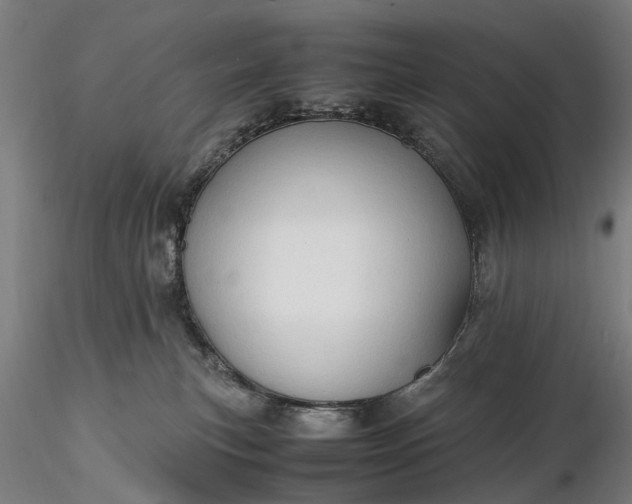 X0000116310183200912141407