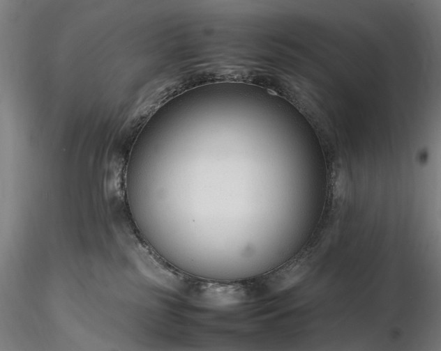 X0000116310185200912141407