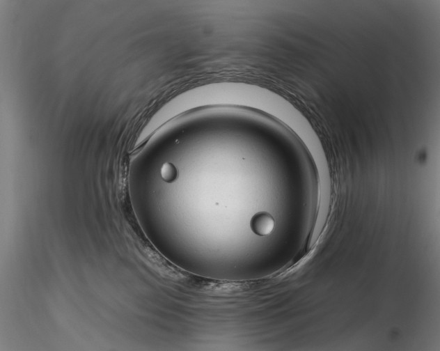 X0000116310186200912141407