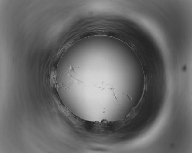 X0000116310190200912141407