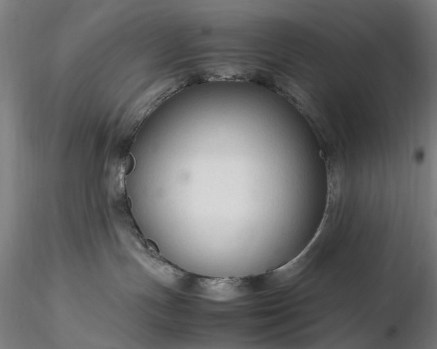 X0000116310191200912141407