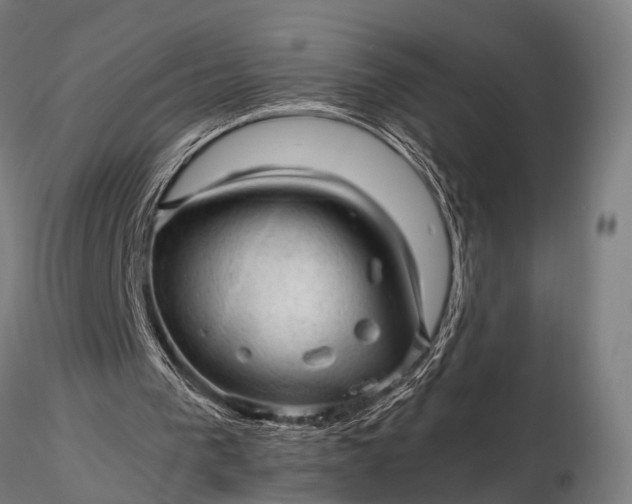 X0000116310193200912141407