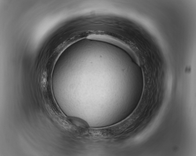 X0000116310194200912141407