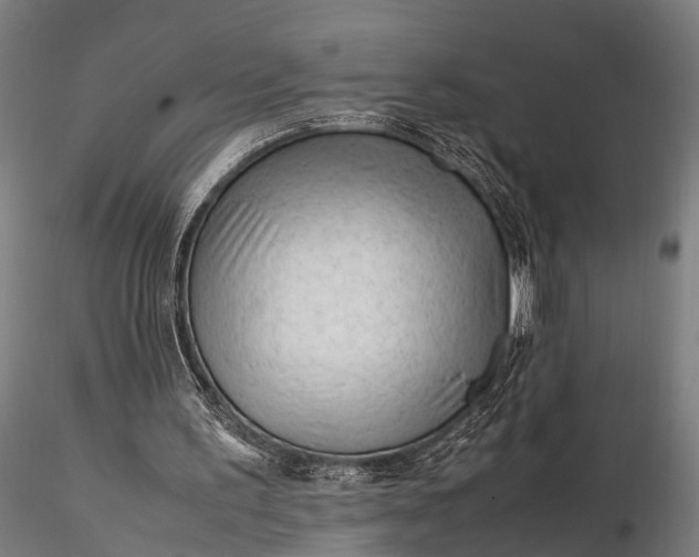 X0000116310195200912141407