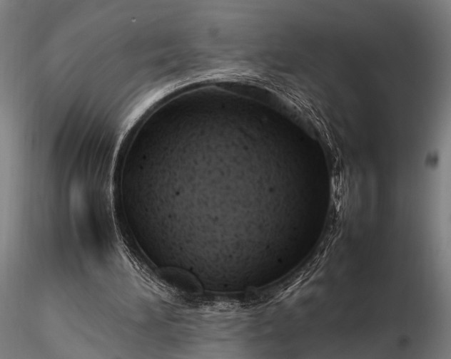 X0000116310196200912141407