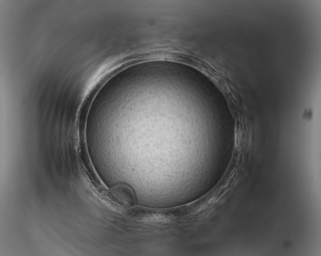 X0000116310198200912141407