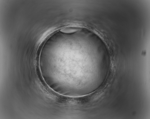 X0000116310199200912141407