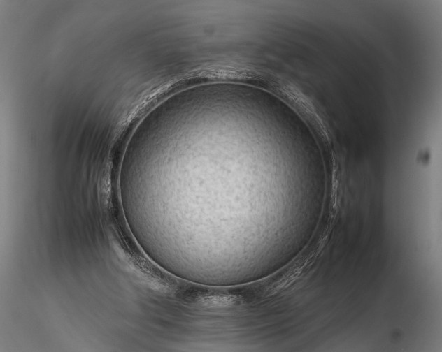 X0000116310202200912141407