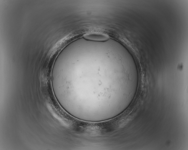 X0000116310203200912141407