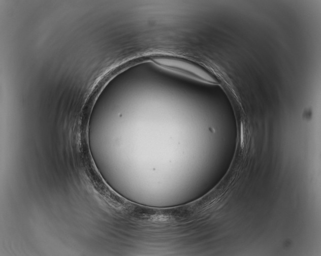 X0000116310204200912141407