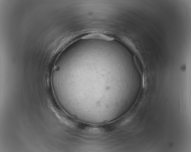 X0000116310205200912141407