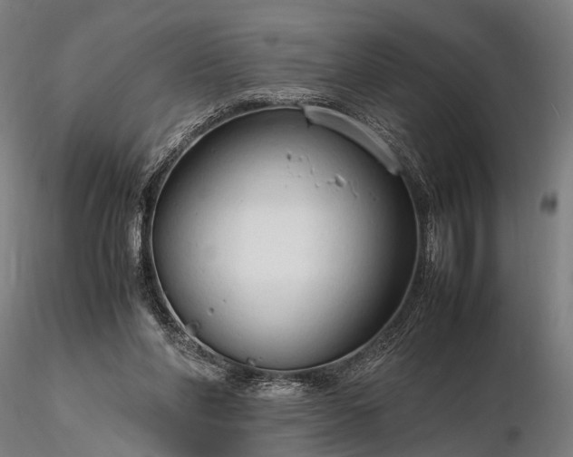 X0000116310206200912141406