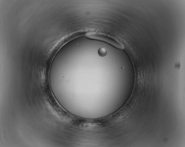 X0000116310208200912141406