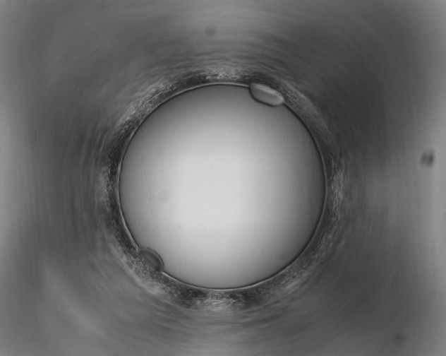 X0000116310209200912141406